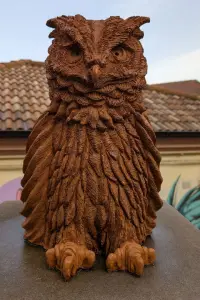 Gufo di Stigliano Gufo di Stigliano